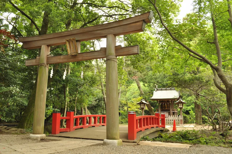 Torii gate and red bridge leading to the small Munakata Shrine within the grounds of Hikawa Shrine in Omiya, surrounded by lush greenery