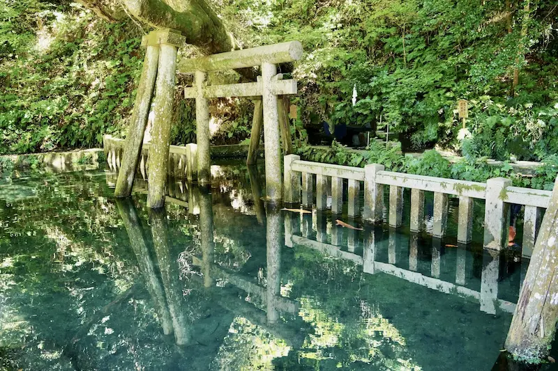 Mitarashi Pond with stone torii at Kashima Jingu Shrine