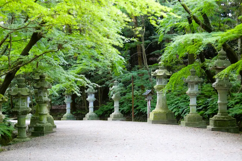 Stone lanterns lining the tranquil approach to Katori Shrine in Chiba, Japan.